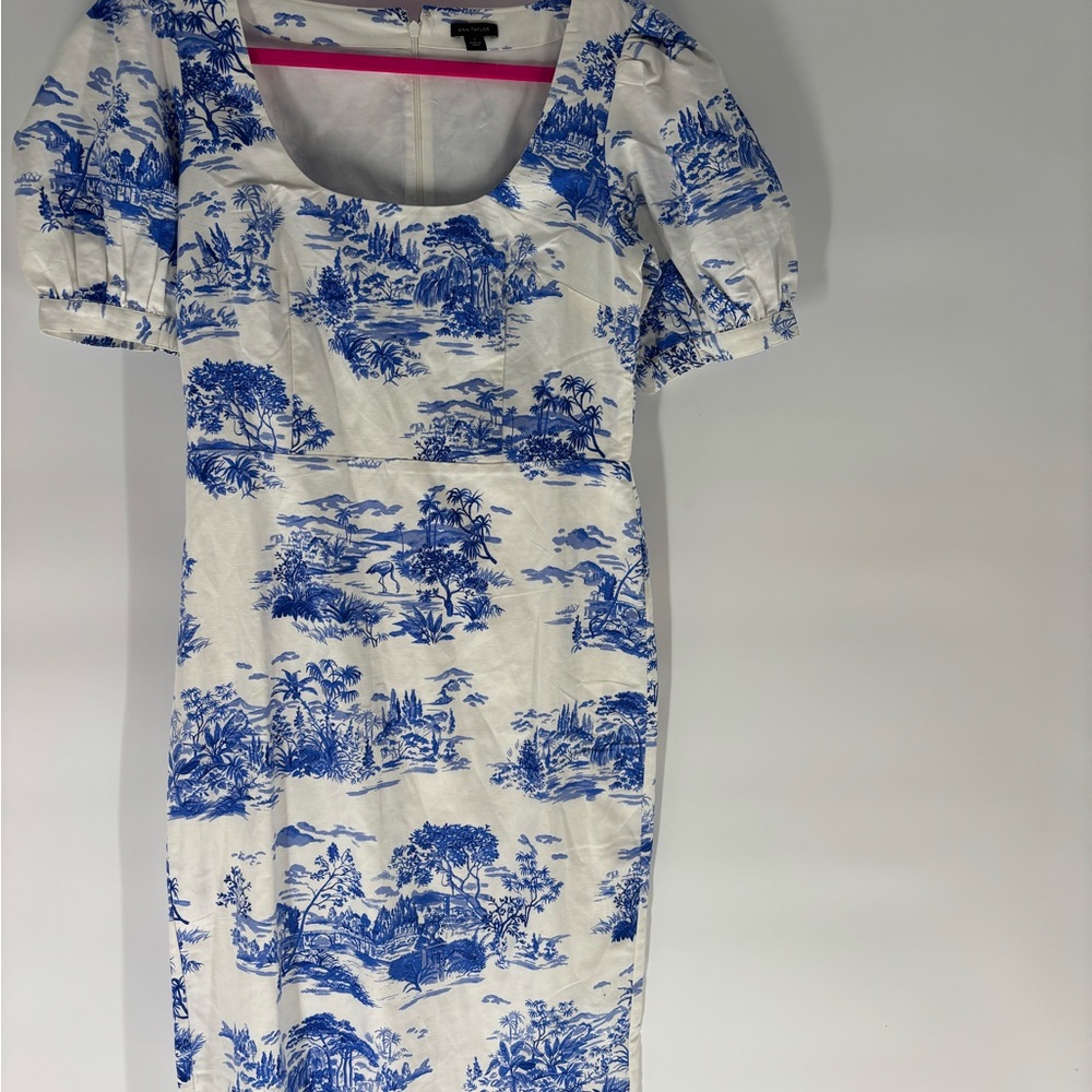 Ann Taylor Blue and White Dress - Picture 6 of 13